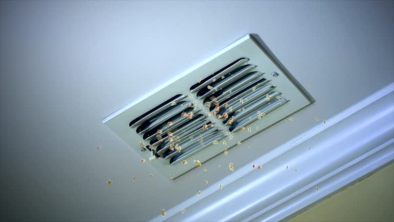 Professional Airduct Cleaning in Northville, MI