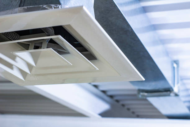 Best Professional Duct Cleaning Services  in Northville, MI
