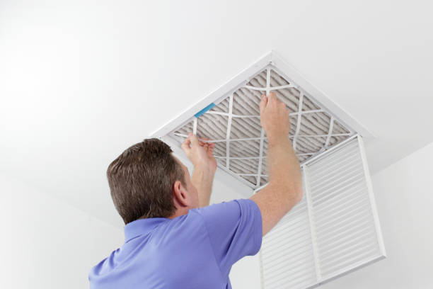 Best Home Air Vent Cleaning  in Northville, MI